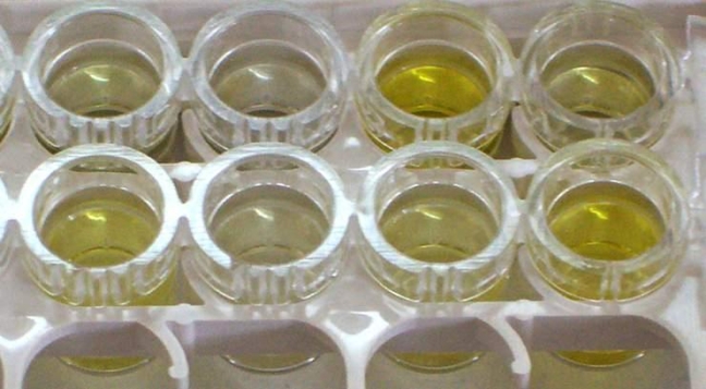 Given the following image, determine the optimal means to measure the amount of antibody present in serum.   Source: Microrao A)  Visually B)  With the use of a spectrophotometer C)  By flow cytometry D)  Using a nephelometer
