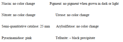 A slow-growing, acid-fast bacillus provides the following reactions:   Which of the following patient history/specimen types was the original source for this organism? A)  Stool from a 44-year-old male with HIV B)  Sputum from an 18-year-old female illegal alien from Mexico C)  Skin lesion from a 39-year-old female who owns a tropical fish store D)  Lymph node from a 4-month-old male after receiving the BCG vaccine