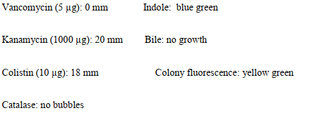 A 17-year-old male presents with a deep and extensive tonsillar abscess. He shares with the physician that he has recently had a sore throat. A direct Gram stain reveals the image provided here.   Source: CDC and Dr. V. R. Dowell, Jr. The anaerobic organism provides the following reactions:   What additional test is needed to correctly identify this organism? A)  Esculin B)  Pigmentation C)  Lecithinase D)  Lipase