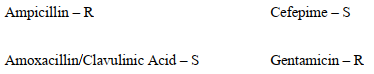 A microbiologist reviews the susceptibility results of Proteus mirabilis isolated from catheterized urine of a 57-year-old male in a coma. The organism test results included:     Based on these results, the microbiologist should A)  report the results as tested. B)  test the organism for ESBL production. C)  test the organism for AmpC production. D)  perform a Hodge test.