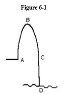 Figure 6-1, an Olympic diver dives off the high-diving platform.     -See Figure 6-1. The magnitude of his momentum will be a maximum at which point (A, B, C or D) ? A)  A B)  B C)  C D)  D