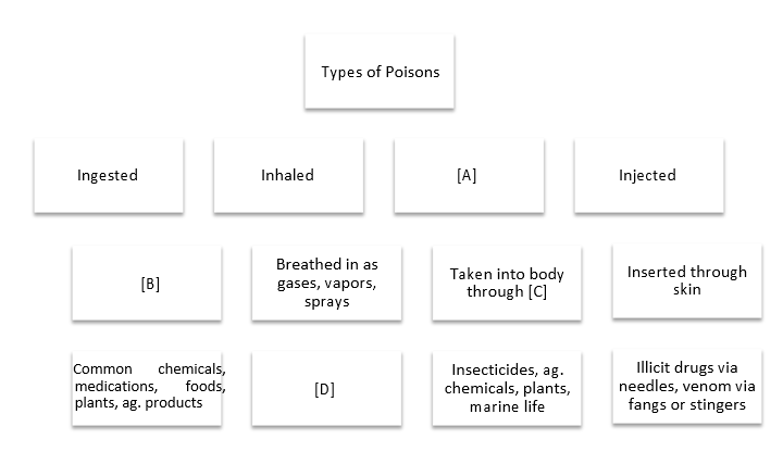   -The word that belongs in place of [A] is A)  Swallowed. B)  Ingested. C)  Absorbed. D)  Inserted.