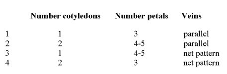 Which one of the following rows correctly identifies a monocot?   A)  Row 1 B)  Row 2 C)  Row 3 D)  Row 4