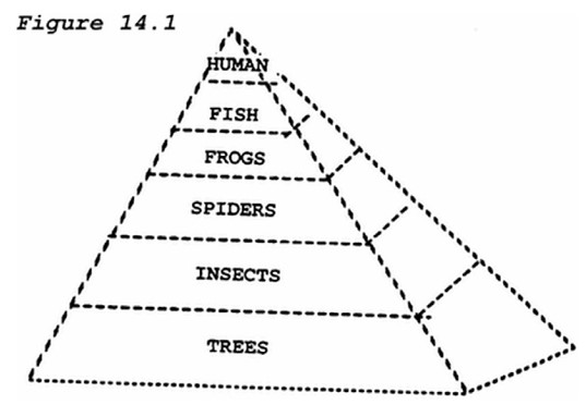   -In the diagram above, the most biomass is contained within the A)  trees. B)  insects. C)  frogs. D)  human.