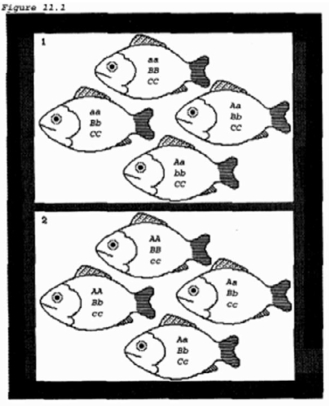 Boxes 1 and 2 of the figure most likely represent different   A)  species. B)  clones. C)  gene pools. D)  communities.