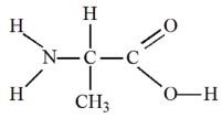 The molecule below is a(n)    A)  amino acid. B)  carbohydrate. C)  lipid. D)  nucleic acid.