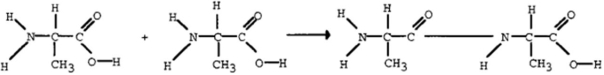A(n)  ____ bond is formed between the reactants below.   A)  ionic B)  hydrogen C)  peptide D)  polar
