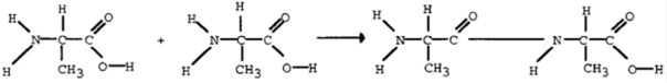 The missing product below is   A)  O<sub>2</sub> B)  CO<sub>2</sub> C)  H<sub>2</sub>O D)   