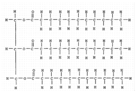 The molecule below   A)  was probably produced by a plant. B)  is liquid at room temperature. C)  was formed by three separate hydrolysis reactions. D)  contains more energy per gram than a carbohydrate.