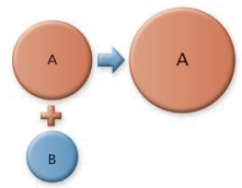 The following illustration is best described as a merger.    