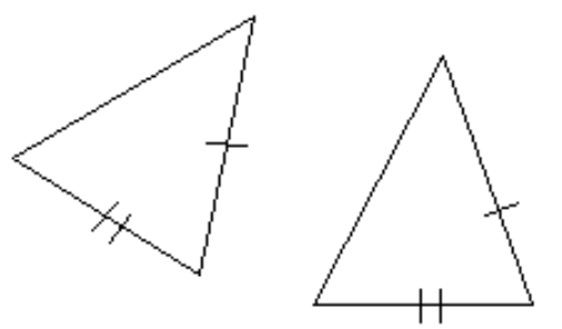 Determine whether the pair of triangles is congruent by the SSS property. - 