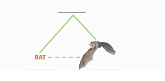 Label Ogden and Richard's  triangle of meaning.  Then, briefly explain what it says about the nature of language.  