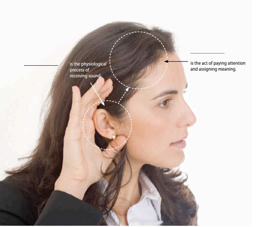 Lable  the elements in the listening process in the diagram below:  