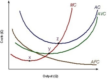 The following diagram shows a firm's short- run cost curves.    It indicates that diminishing returns set in at point A)  x B)  somewhere between points x and y C)  z D)  y