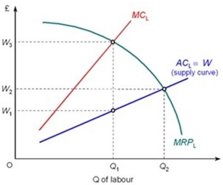 The following diagram shows a monopsony employer.    What is the profit- maximising wage for the employer to pay? A)  W<sub>2</sub> B)  W<sub>3</sub> C)  W<sub>1</sub> D)  Somewhere between W<sub>1</sub><sub> </sub>and W<sub>3</sub>, but it is impossible to say the precise wage rate without more information