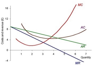 The following diagram shows a firm facing a downward- sloping demand curve.    The profit- maximising quantity is equal to the point of unit elasticity of demand.   
