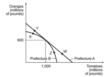 The figure below shows production possibilities curves for tomatoes and oranges in two prefectures in a country.    -Refer to the figure above. Suppose that Prefecture A produces at point W, while Prefecture B produces at point X. Could there be gains from trade (Prefecture A sells tomatoes to Prefecture B, and Prefecture B sells oranges to Prefecture B) ? Why or why not? A)  Yes, because Prefecture A has a comparative advantage in tomato production beyond 1 billion pounds while Prefecture B has a comparative advantage in orange production beyond 800 million pounds. B)  Yes, because Prefecture A produces more tomatoes while Prefecture B produces more oranges. C)  No, because Prefecture A's opportunity cost of producing additional pounds of tomatoes at W is higher than Prefecture B's opportunity cost at X. D)  No, because Prefecture A's opportunity cost of producing additional pound of oranges at W is higher than Prefecture B's opportunity cost at X.