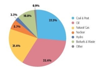 Currently, which of the following primary energy sources accounts for the least global consumption?     A)  nuclear B)  gas C)  wood D)  renewable energy E)  hydropower  