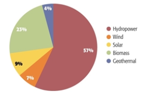 Which of the following energy sources accounts for more than half of the renewable energy consumed?    A)  geothermal B)  solar energy C)  wind energy D)  hydroelectric power E)  biomass  
