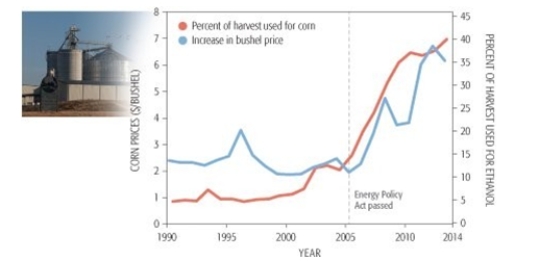 The greatest rate of increase in the price of corn ($/bushel)  was experienced during _______.	   A)  2007- 2008 B)  2005- 2006 C)  1996- 1997 D)  2000- 2001 E)  2009- 2010  