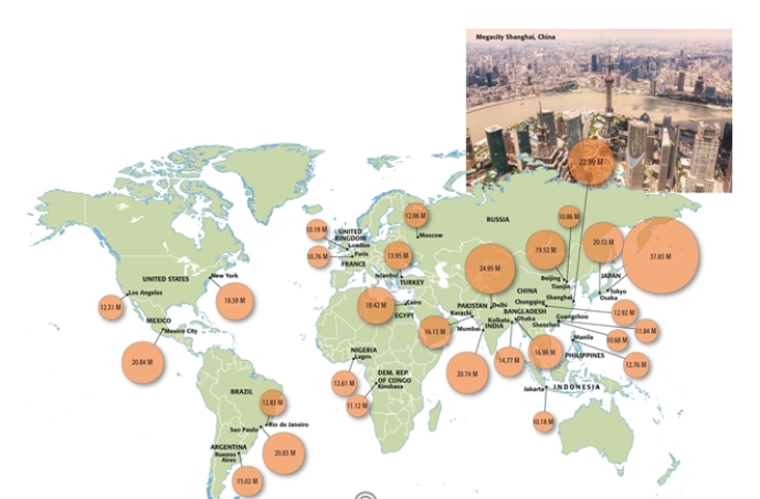Which of the following is the biggest megacity in the World?   A)  New York B)  Sao Paolo C)  Seoul D)  Tokyo E)  Delhi  