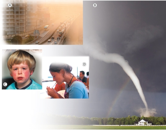 Which of the following images shows a cultural environmental hazard?	   A)  A B)  B C)  C D)  D E)  None of the above  