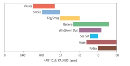 Which of the following particles is likely to fall out of the air faster?	   A)  pollen B)  fog/smog C)  bacteria D)  salt- algae E)  viruses  