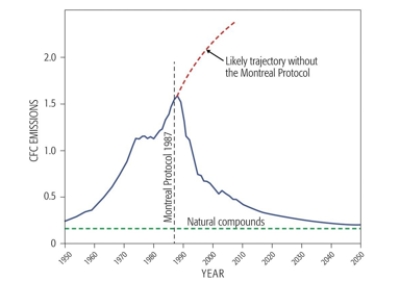 According to the graph, what year was the Montreal Protocol most likely to have been enacted?	   A)  2000 B)  1982 C)  1984 D)  1987 E)  1990  