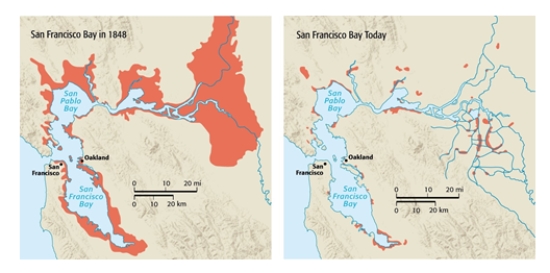 In 1848, San Francisco Bay looked much different than it does today. At one time, the largest part of this estuary had an area defined by approximately_______ 	.     A)  40 × 50 mi B)  20 × 40 km C)  30 × 80 km D)  15 × 40 km E)  40 × 150 mi  