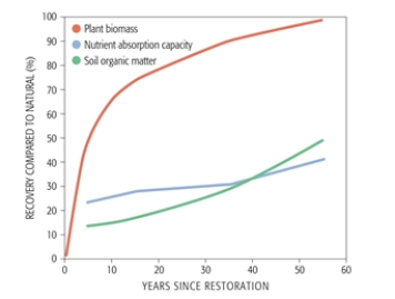 The main conclusion from this graph on soil and vegetation change after wetland restoration is_______    A)  soil organic matter and nutrient absorption are much easier to accomplish than improvements in biomass B)  that it takes at least 10 years for wetlands restoration to be completed C)  soils are more important to wetlands restoration than are plants D)  soil organic matter is initially the most rapid category to recover E)  plant biomass recovers relatively rapidly in restored wetlands