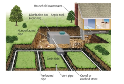 Where in this household septic system are the dissolved organic chemicals broken down by microbes?     A)  leach field B)  distribution box C)  gravel or crushed stone field D)  drain field E)  septic tank  