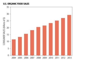 The increase in American consumption of organic foods has increased approximately _______from 2004 to 2006.    A)  80% B)  30% C)  4% D)  20% E)  10%