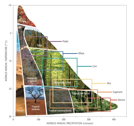 According to this data depicting the climate limits of specific crops, corn, an important food crop, grows best in the_______biome.   A)  tropical savanna B)  chaparral/grassland C)  temperate forest D)  tropical rain forest E)  taiga  