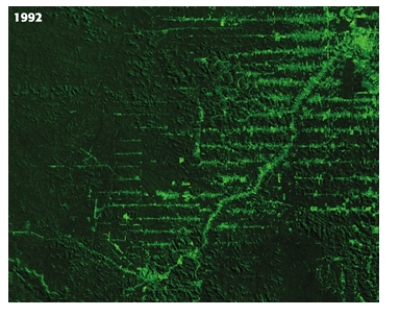 What do the light green lines within this forestry area represent?	   A)  shade tree lines that help with coffee growing B)  nature hiking paths C)  strip cropping D)  alley cropping E)  road development in the forest