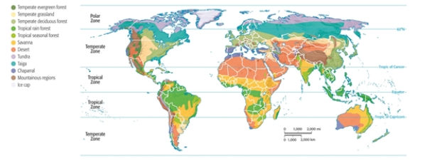 The United States is in the________zone.	   A)  polar B)  temperate C)  desert D)  tropical E)  continental  
