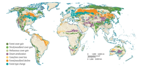 Where is it likely that forest and woodland cover will increase?	   A)  Europe B)  South America C)  Arctic D)  Asia E)  North America  