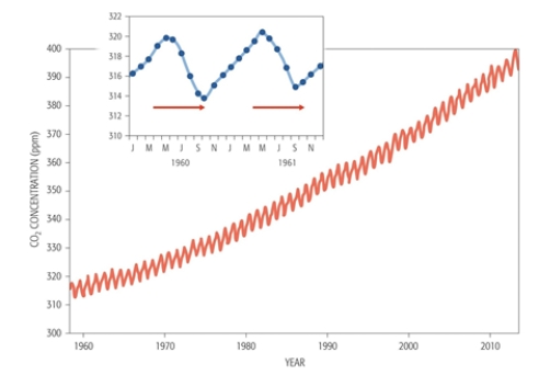 When examining the Keeling Curve in the accompanying graph, one notices a  zigzag  upward- moving curve. What do these small up and down movements indicate?    A)  latitudinal differences in CO<sub>2</sub><sub> </sub>concentrations B)  weather- related factors affecting CO<sub>2</sub> C)  uncertainty in the CO<sub>2</sub><sub> </sub>conditions D)  seasonal cycles in CO<sub>2</sub><sub> </sub>concentrations E)  O<sub>2 </sub>versus CO<sub>2 </sub>concentrations  