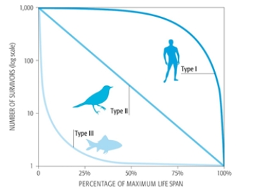 What does the figure illustrate?	   A)  Fish have a steady rate of mortality change. B)  Birds have a constant mortality rate. C)  Humans have an increased mortality rate at a young age. D)  Fish have a decreased mortality rate at young age. E)  Birds have an ever decreasing mortality rate.