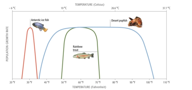   -The organism most likely to be vulnerable to global climate change is________. A)  rainbow trout B)  rainbow trout and Antarctic ice fish C)  Antarctic ice fish D)  desert pupfish E)  desert pupfish and all its relatives  