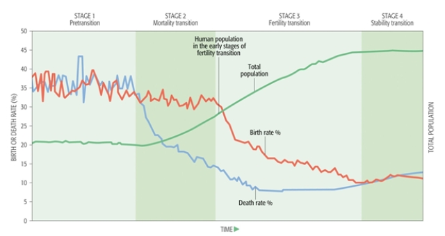 In the early stages of fertility transition, what is happening with birth and death rates in this demographic transition graph?   A)  Birth rates are decreasing and death rates are increasing. B)  Birth and death rates are decreasing. C)  Birth and death rates are increasing. D)  Birth and death rates are stable. E)  Birth rates are increasing and death rates are decreasing.  
