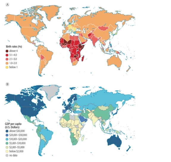 Based on information in this figure on birth rates and wealth, what can be inferred about a population's birth rate as it relates to the Gross Domestic Product in the country?   A)  Birth rates are higher in countries with lower wealth because the women are older when they give birth. B)  Wealthier countries have higher birth rates. C)  Wealthier countries have higher birth rates because people can afford more children. D)  Poorer countries have lower birth rates. E)  Birth rates are higher in countries with lower wealth because the women are younger when they give birth.  