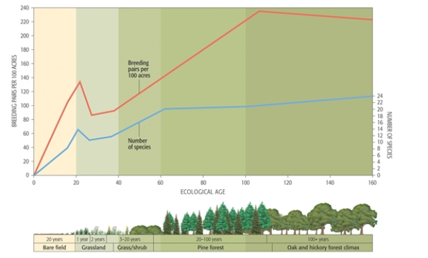 During old- field succession, the graph clearly shows that the number of species increases with time. During what period of time is this rate of increase the greatest?   A)  60- 100 years B)  40- 60 years C)  20- 40 years D)  0- 20 years E)  cannot be determined from this data  