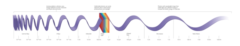 Which of the rays/waves along the wavelength contains the most energy?	   A)  ultraviolet rays B)  microwaves C)  gamma rays D)  infrared rays E)  X- rays