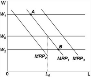   - Refer to the above graph. Suppose that a competitive firm in long-run equilibrium faces a market wage W<sub>0</sub> as shown. Suddenly, the price of the output it produces increases. If other things remain the same, the short-run effect of this change in price would be to: A)  increase the firm's demand for labor from MRP<sub>1</sub> to MRP<sub>3</sub>. B)  decrease the firm's demand for labor from MRP<sub>1</sub> to MRP<sub>2</sub>. C)  increase the market wage rate to W<sub>1 </sub>and decrease the quantity of labor the firm demands to point A. D)  decrease the market wage rate to W<sub>2</sub> and increase the quantity of labor the firm demands to point B.