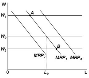    -Refer to the above graph. Suppose that a competitive firm in long-run equilibrium faces a market wage W<sub>0</sub> as shown. Suddenly, the price of the product it produces decreases. If other things remain the same, the short-run effect of this change in price would be to: A)  increase the firm's demand for labor from MRP<sub>1</sub> to MRP<sub>3</sub>. B)  decrease the firm's demand for labor from MRP<sub>1</sub> to MRP<sub>2</sub>. C)  increase the market wage rate to W<sub>1</sub> and decrease the quantity of labor the firm demands to point A. D)  decrease the market wage rate to W<sub>2</sub> and increase the quantity of labor the firm demands to point B.