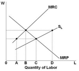   The level of employment in the monopsony labor market shown above will be: A)  A. B)  B. C)  C. D)  D.