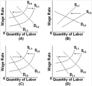   - Refer to the above graphs. The formation of an exclusive or craft union, with no change in demand, is depicted by situation: A)  A. B)  B. C)  C. D)  D.
