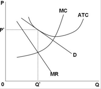   Refer to the above graph. Assume that in long-run equilibrium a purely competitive firm has the same cost curves as that of the monopolistically competitive firm shown. It can be concluded that the: A)  purely competitive firm would have lower economic profits. B)  purely competitive firm would have higher economic profits. C)  purely competitive producer would produce less at a higher ATC. D)  monopolistically competitive producer would produce less at a higher ATC.