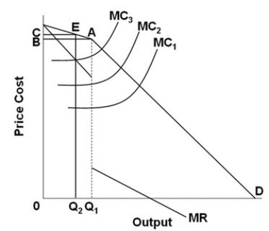    -On the above graph, if the oligopolist's MC curve shifts from MC<sub>1</sub> to MC<sub>2</sub>, the firm will charge: A)  a higher price and total revenue will increase. B)  the same price and sell more output; total revenue will increase. C)  the same price and sell the same amount of output; total revenue will remain the same. D)  a higher price and sell less output; it can't be determined whether total revenue will increase.