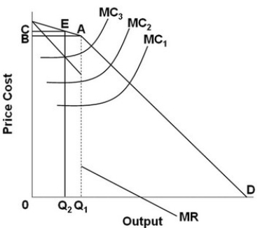   - Based on the graph above, we would expect this firm to sell:  A)  Q<sub>1</sub> units at a price of B. B)  Q<sub>1</sub> units at a price of C. C)  Q<sub>2</sub> units at a price of C. D)  Q<sub>2</sub> units at a price of B.